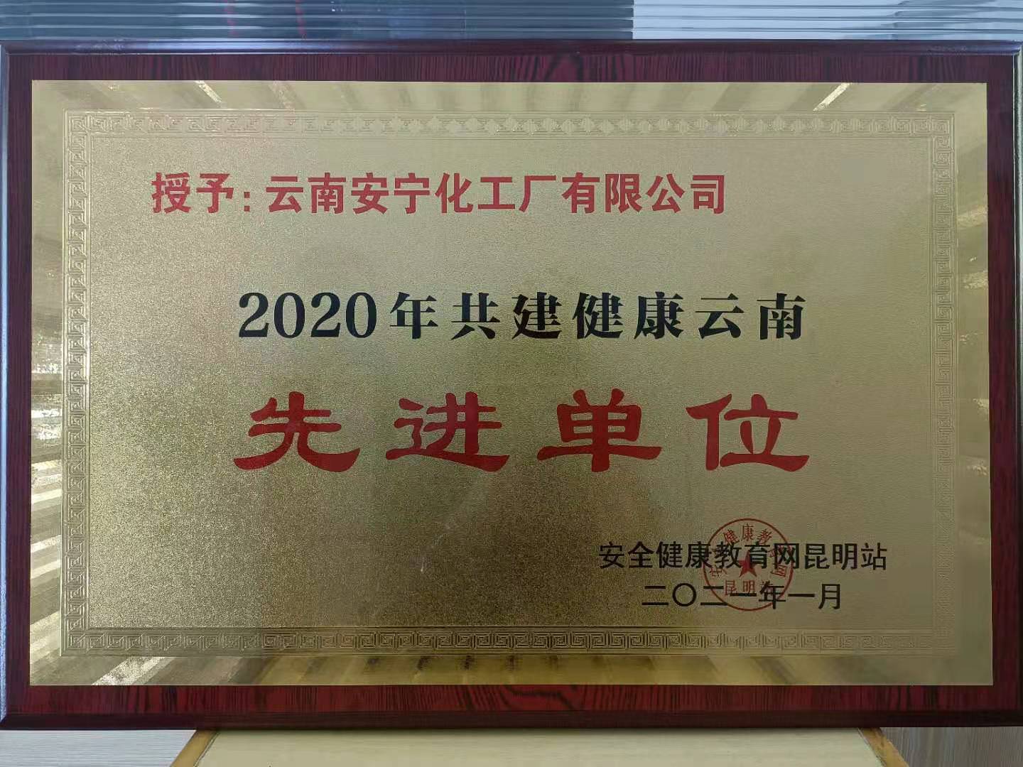 2020年共建健康云南先進單位